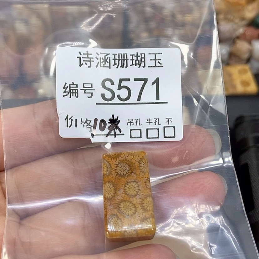 【闪购商品】硅化珊瑚（珊瑚玉）颈饰未镶嵌N****GS571