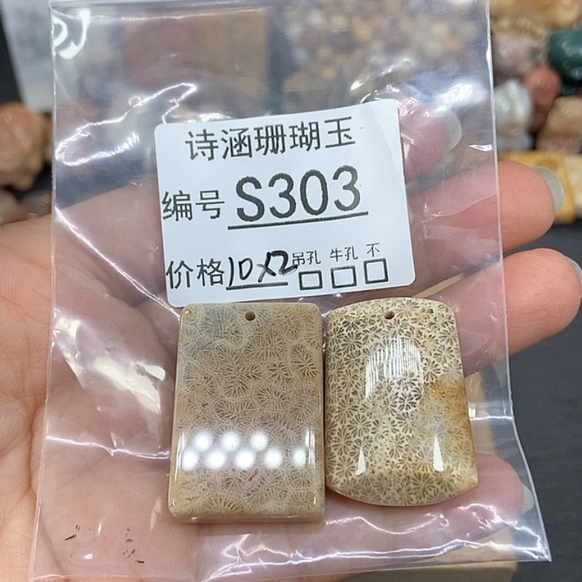 【闪购商品】硅化珊瑚（珊瑚玉）颈饰未镶嵌南*S303