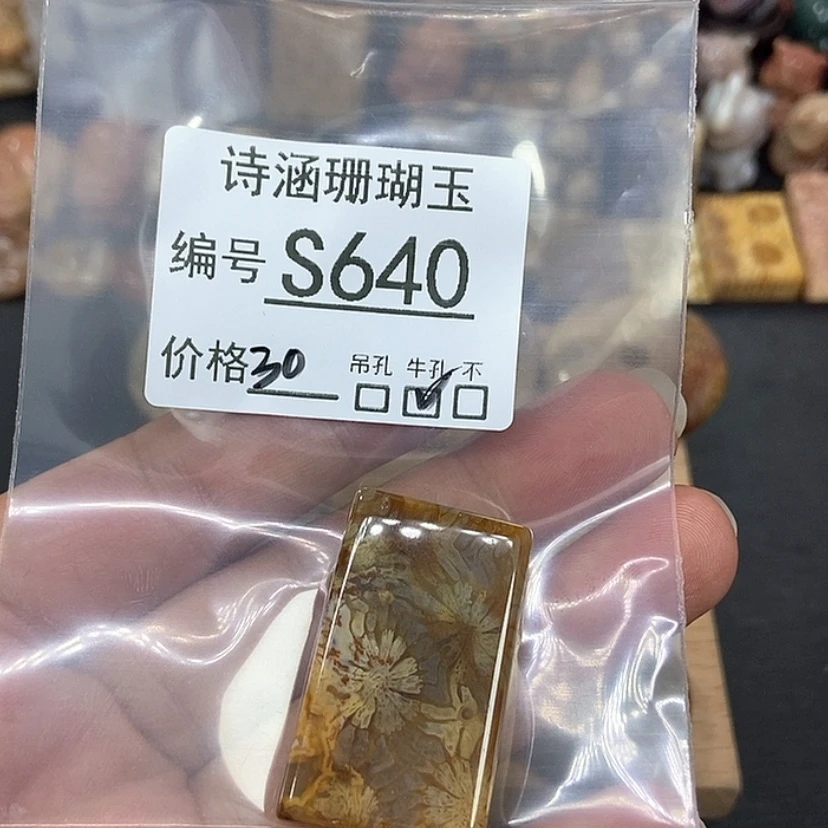 【闪购商品】硅化珊瑚（珊瑚玉）颈饰未镶嵌诺*S640