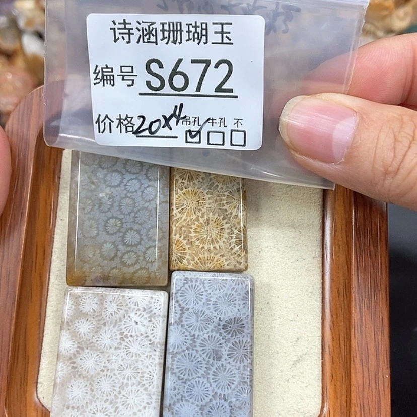 【闪购商品】硅化珊瑚（珊瑚玉）颈饰未镶嵌碎****粒S672