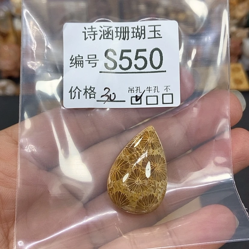 【闪购商品】硅化珊瑚（珊瑚玉）颈饰未镶嵌凌**间S550