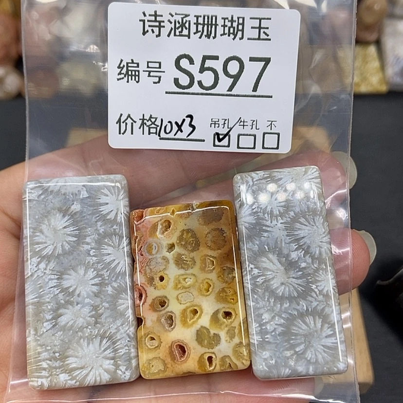 【闪购商品】硅化珊瑚（珊瑚玉）颈饰未镶嵌梦****颜S597