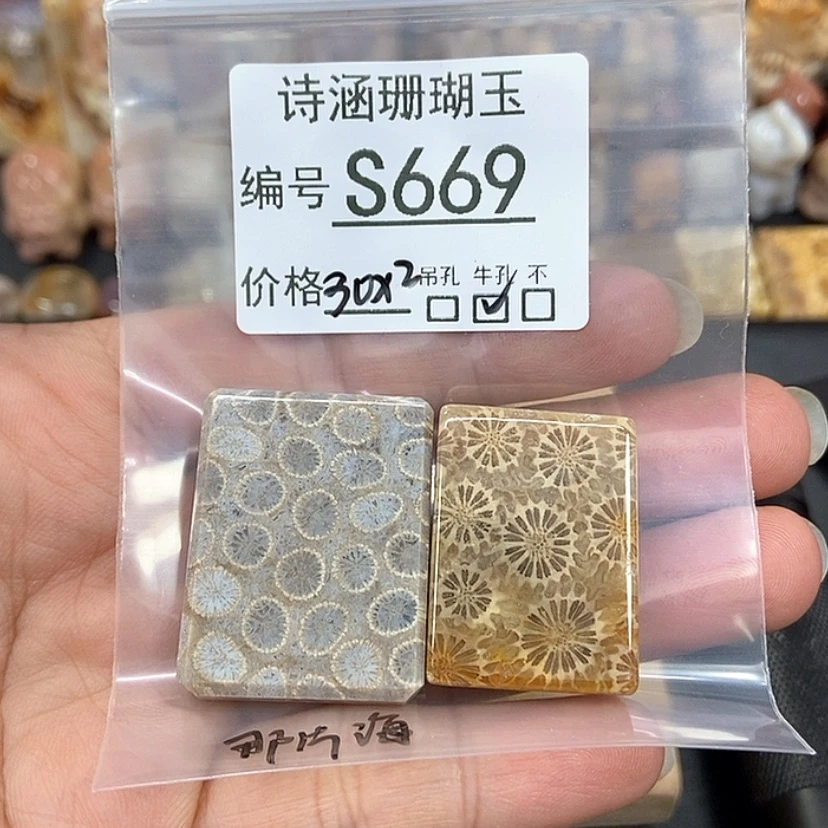 【闪购商品】硅化珊瑚（珊瑚玉）颈饰9K金镶嵌～***～S669