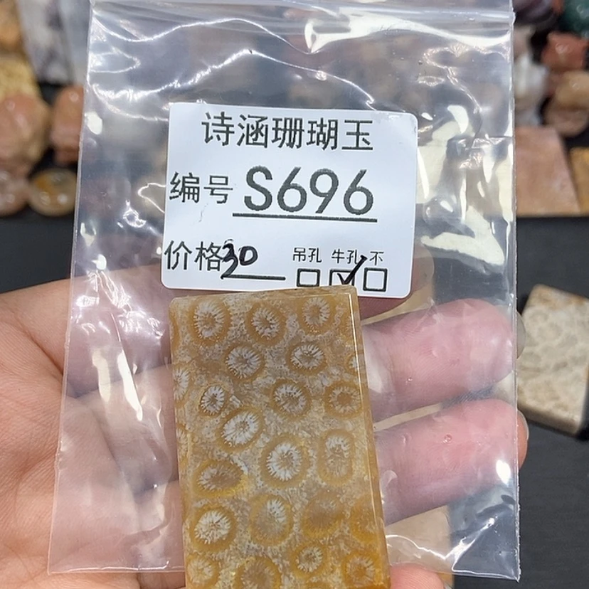 【闪购商品】硅化珊瑚（珊瑚玉）颈饰未镶嵌贰*S696