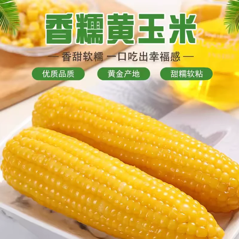 【整箱6-6.5斤】10根黄糯玉米24年精选轻食代餐甜糯粗粮280-350克