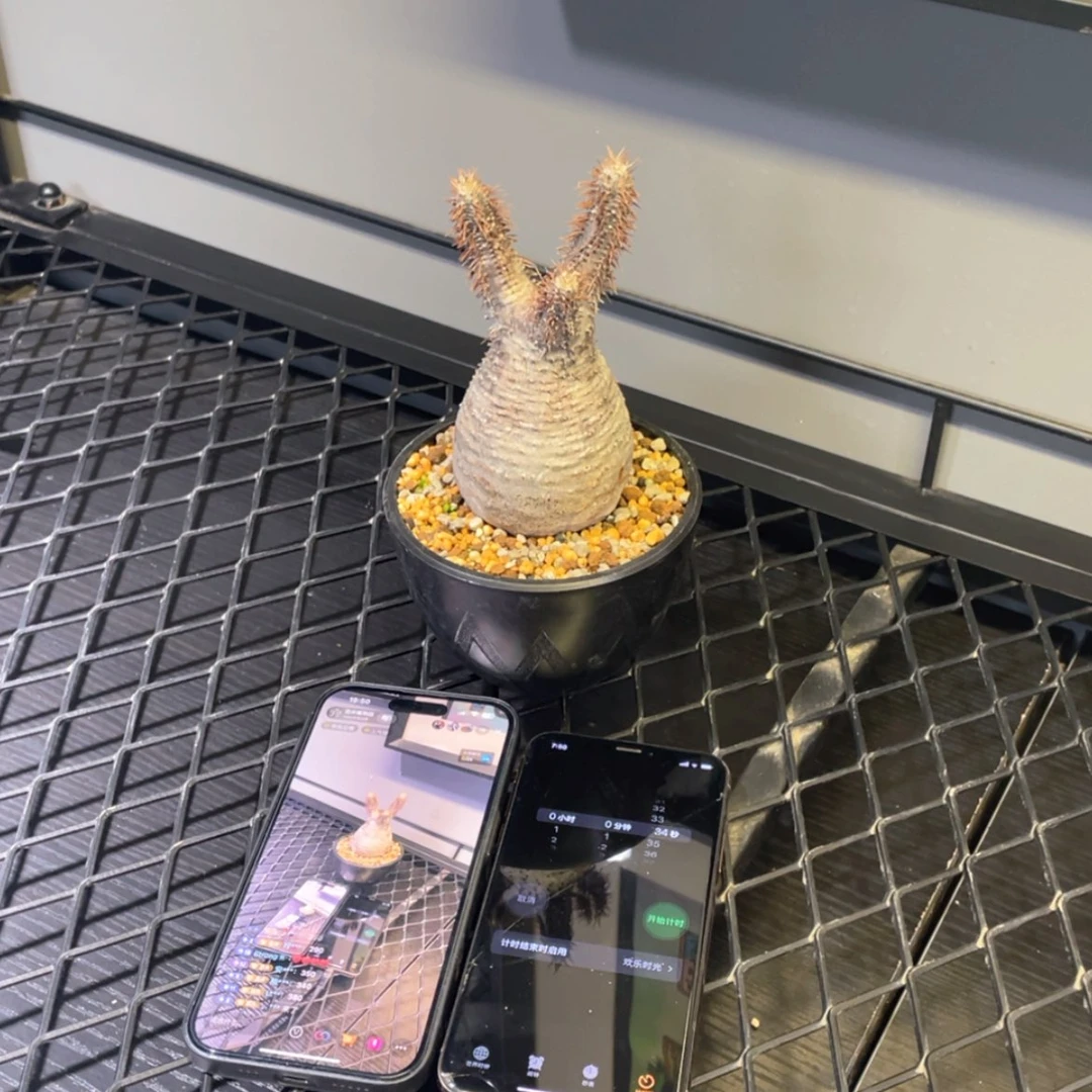 【闪购商品】哈哈哈