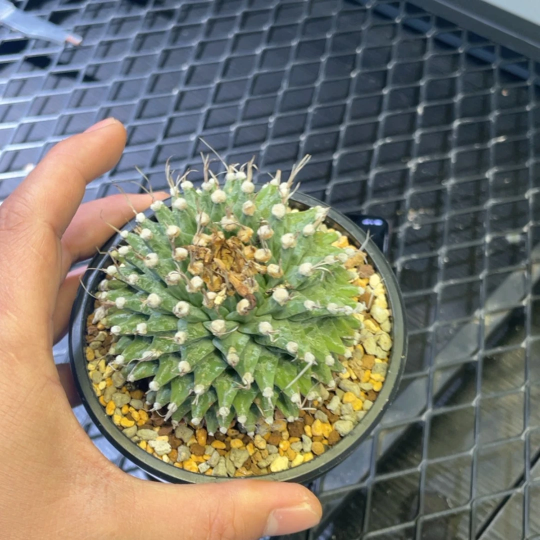 【闪购商品】哈哈哈