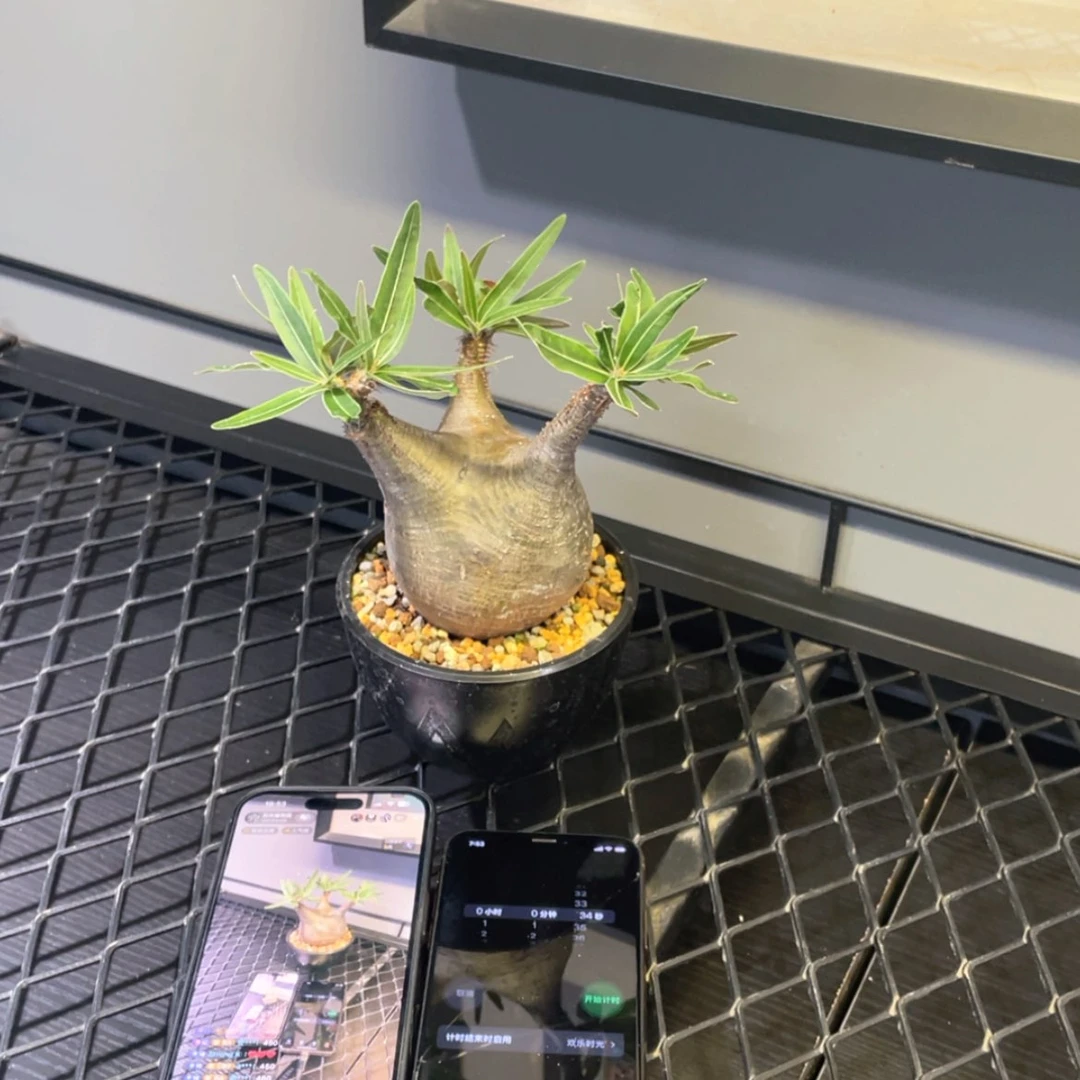 【闪购商品】哈哈哈