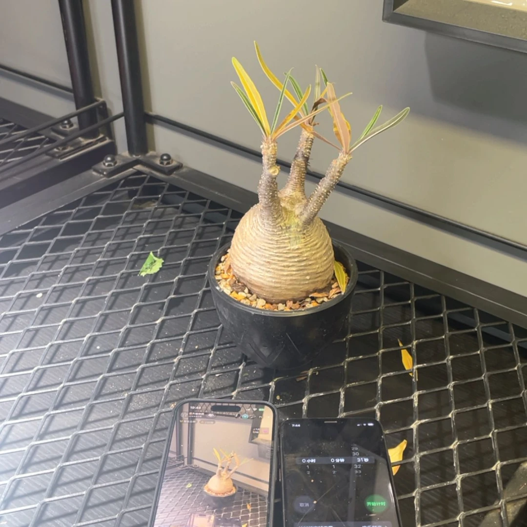 【闪购商品】哈哈哈