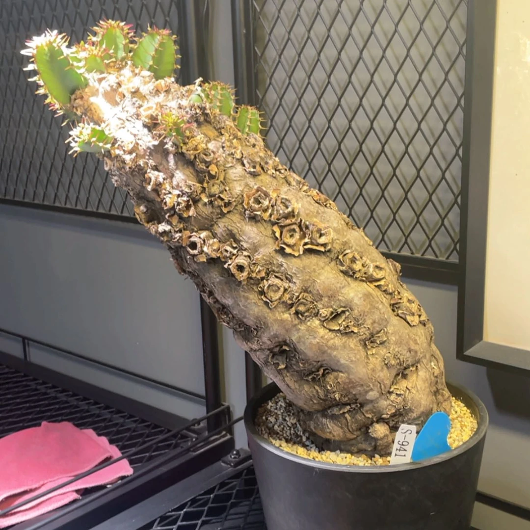 【闪购商品】哈哈哈