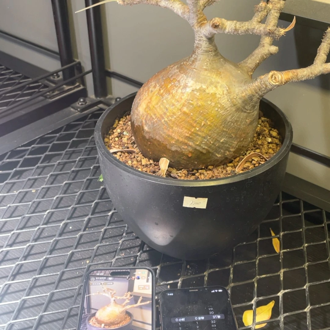 【闪购商品】哈哈哈