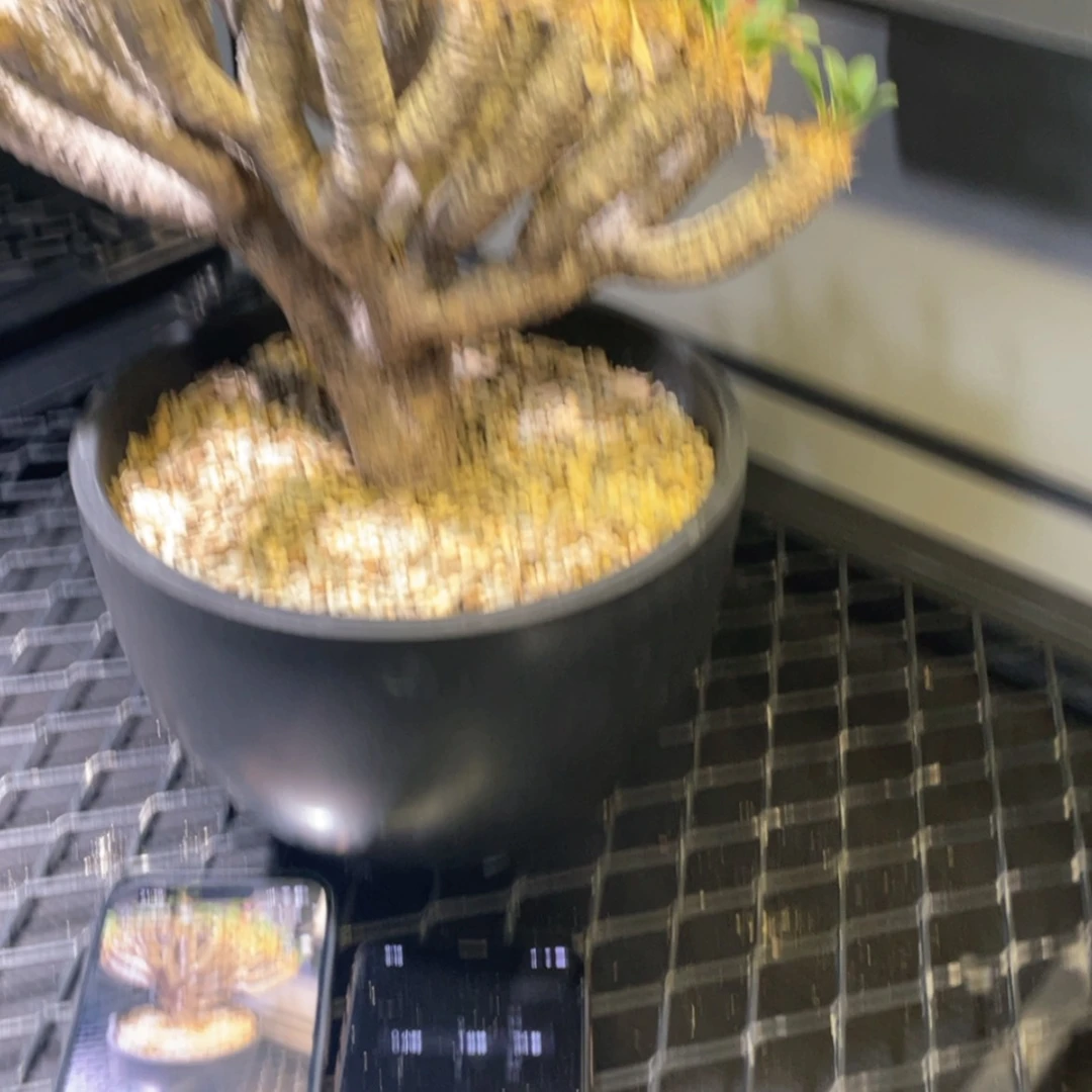 【闪购商品】哈哈哈