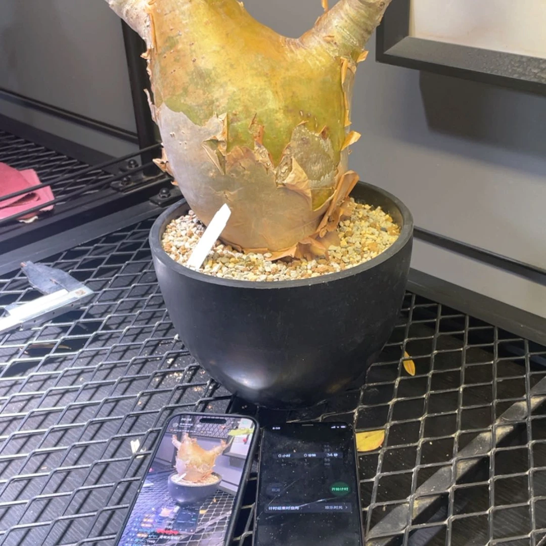 【闪购商品】哈哈哈