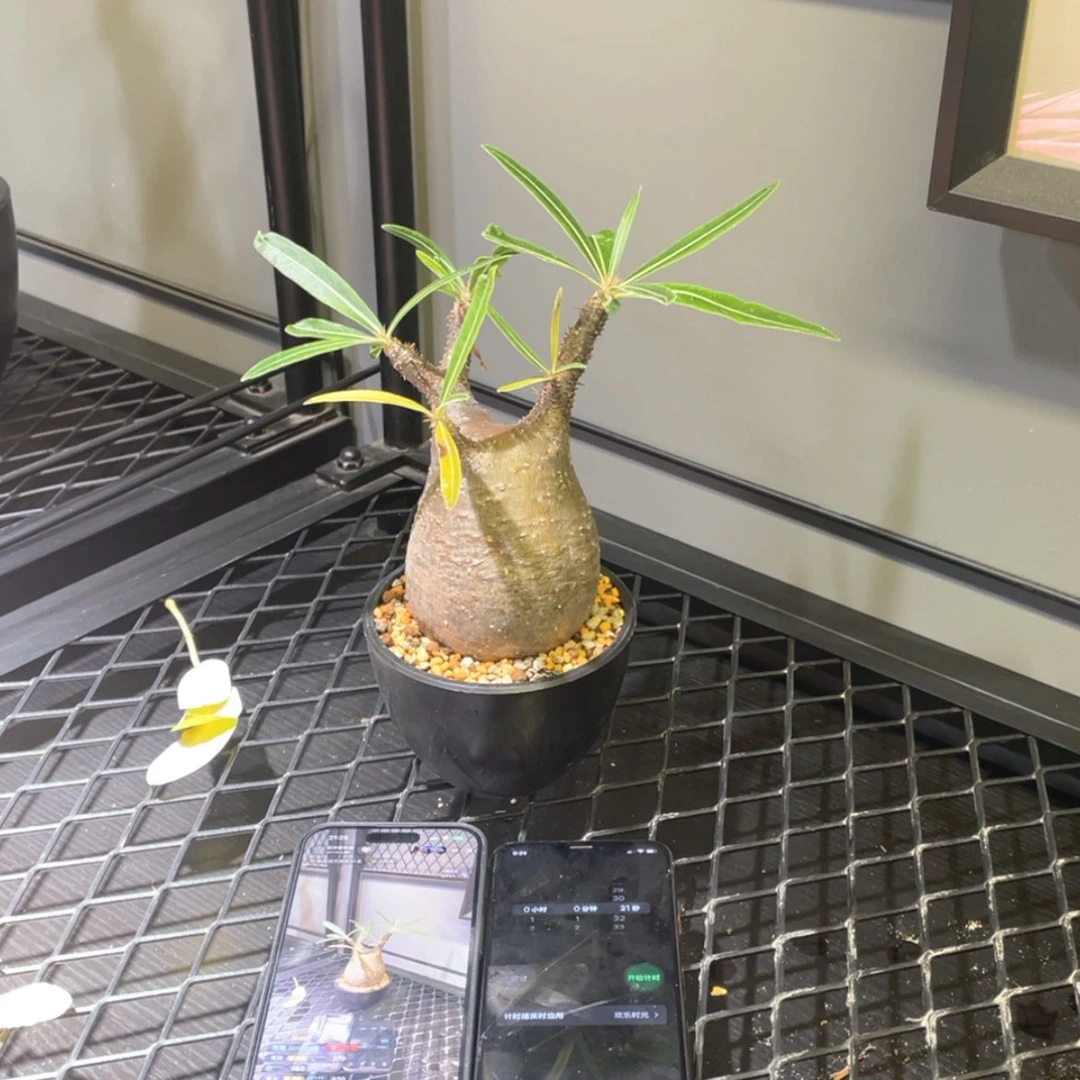 【闪购商品】哈哈哈