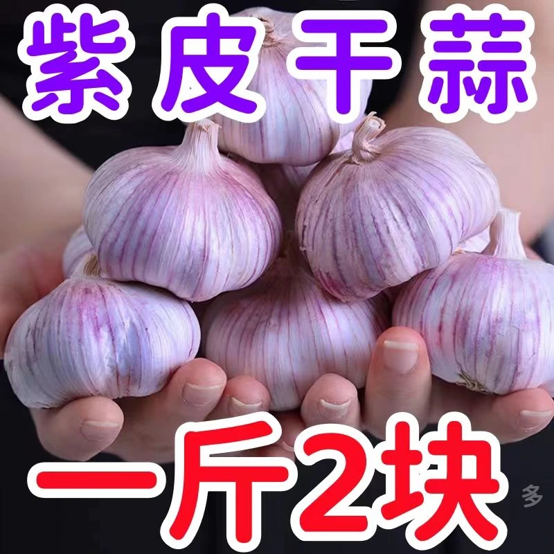 【新店半价】大蒜头批发干蒜紫皮大蒜头3-5斤干蒜特大新鲜大蒜批发