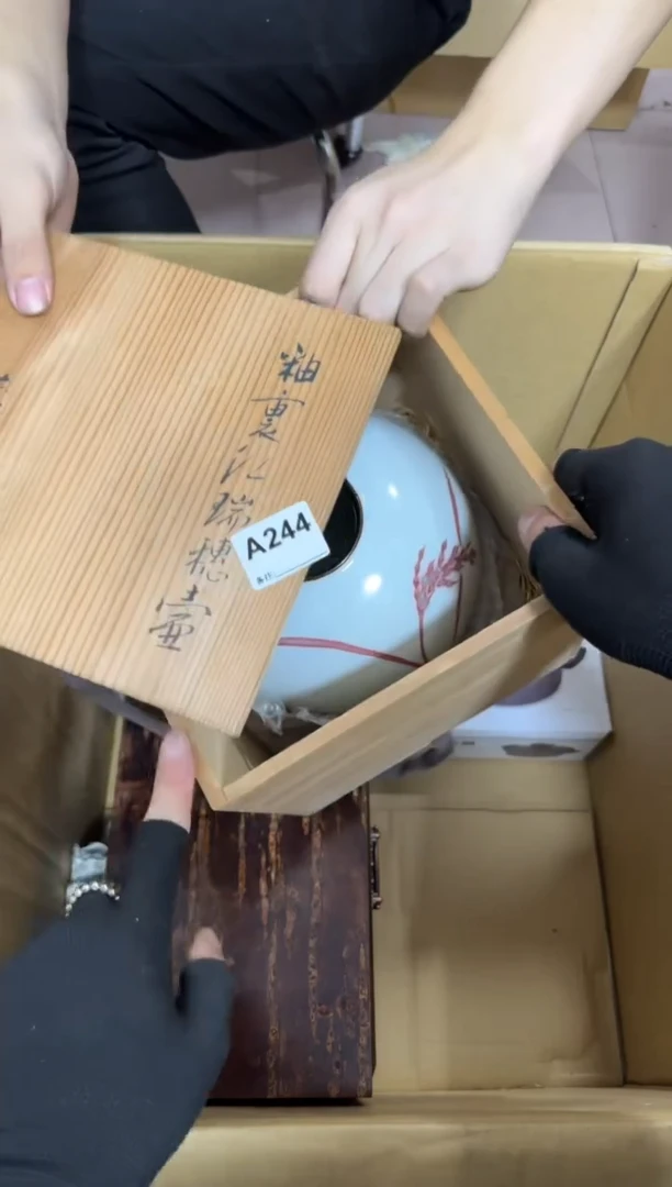 【闪购商品】瓷片244。不退不换，谨慎参拍