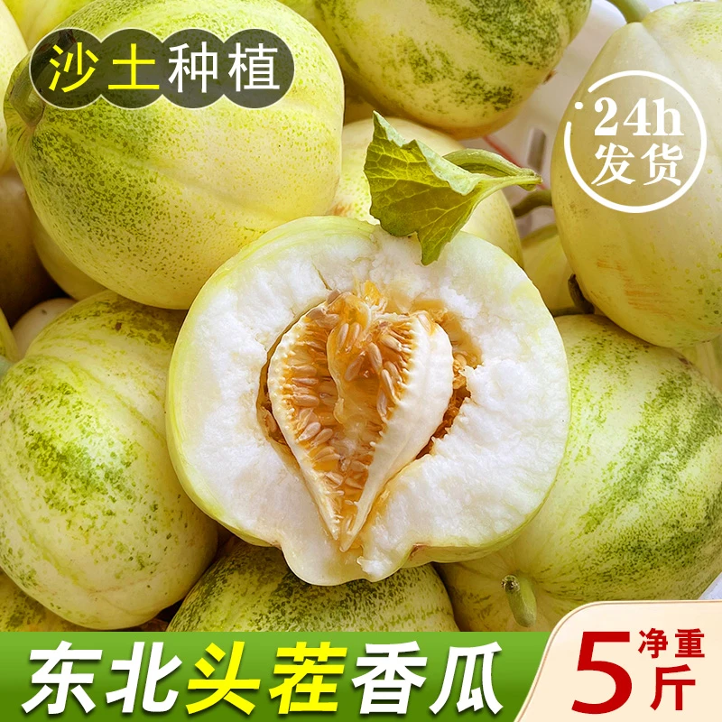 东北香瓜 甜瓜 新鲜5斤包邮时令当季水果特产整箱白糖罐面蜜瓜