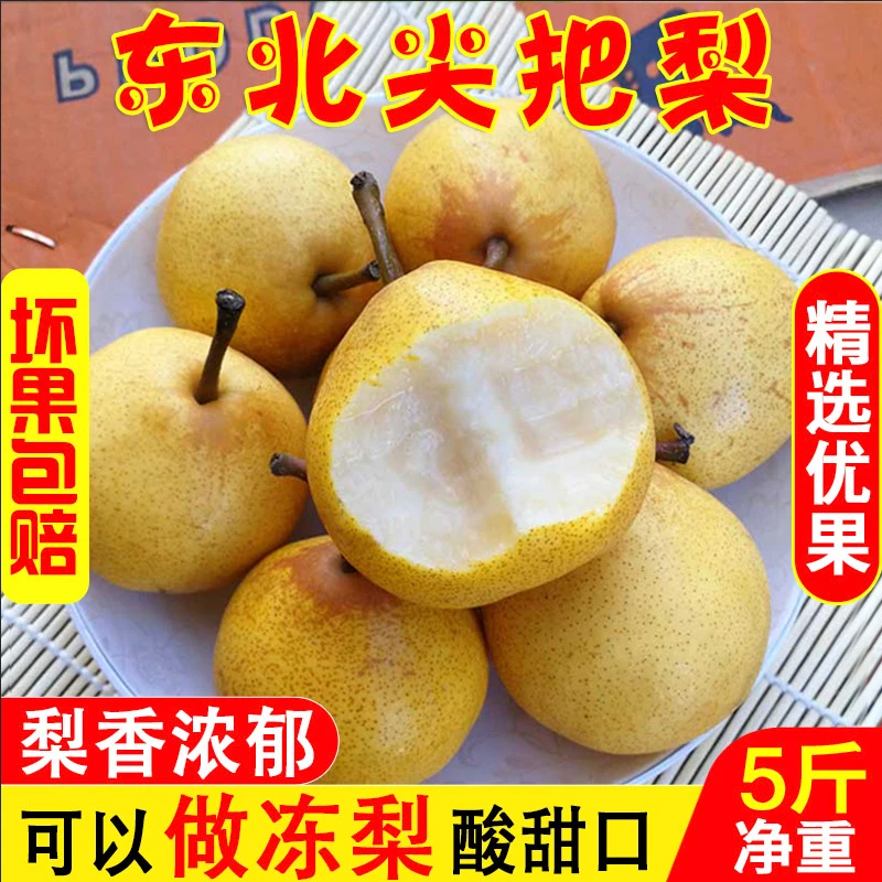 尖把梨东北特产秋子梨冻梨辽宁鞍山小酸梨孕妇水果5斤包邮葫芦梨