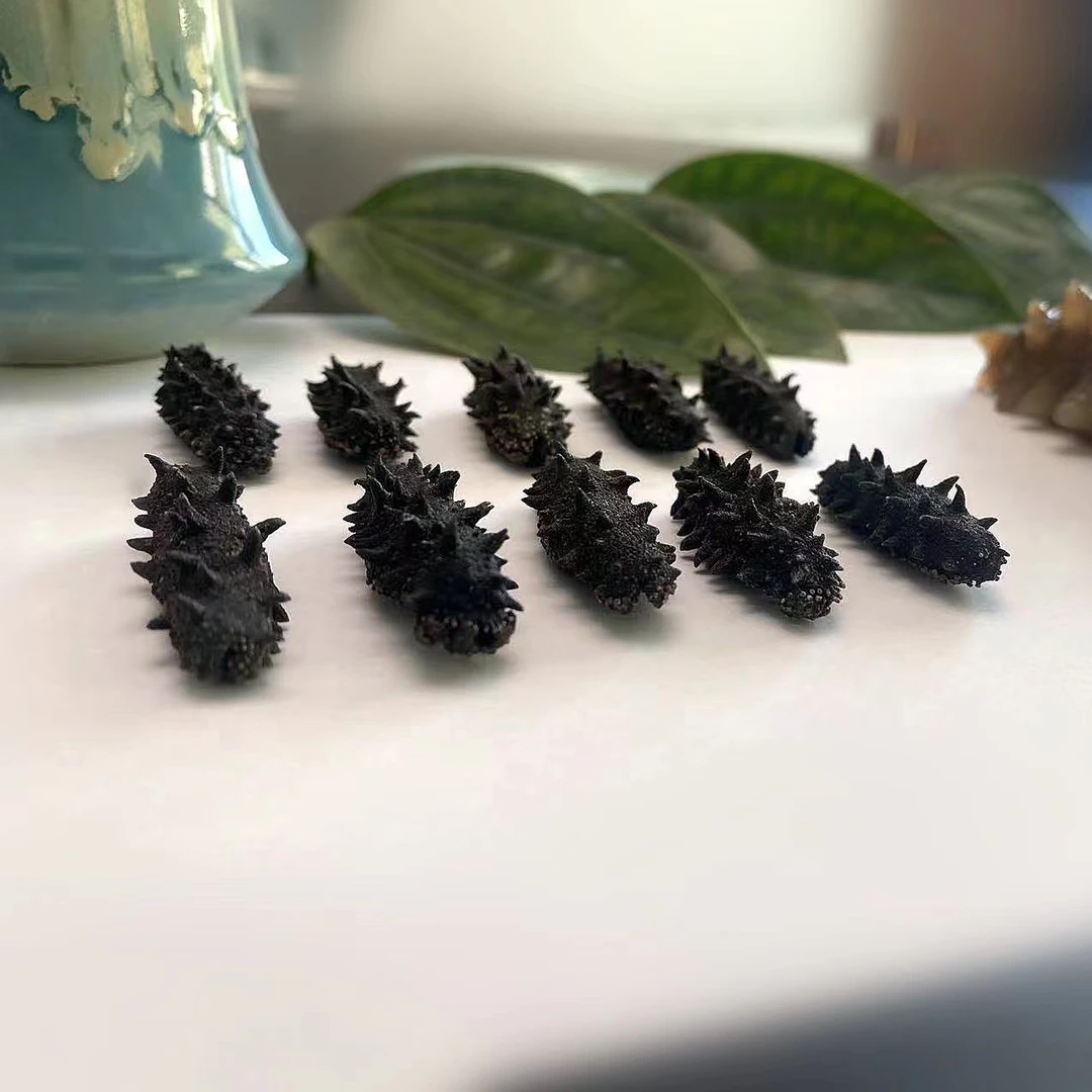 开水泡发国标特级速发海参5-6小时可吃100-300头左右/斤顺丰发货