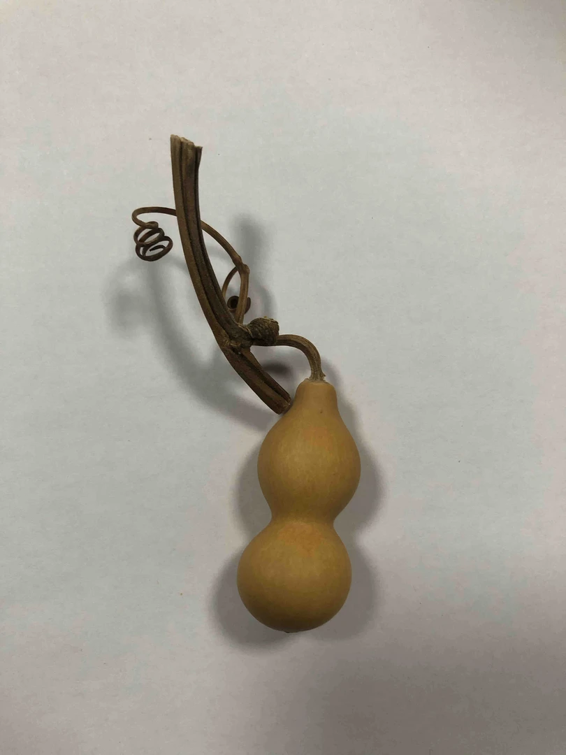 葫芦天然葫芦 草里金