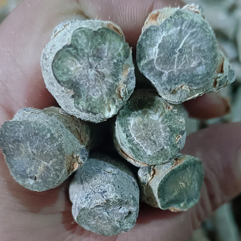 文山黑三七筋条仿野生种植足干