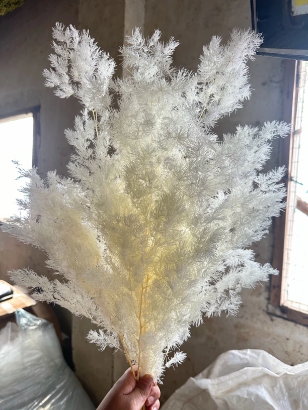永生蓬莱松80g质量保证两件以上包邮