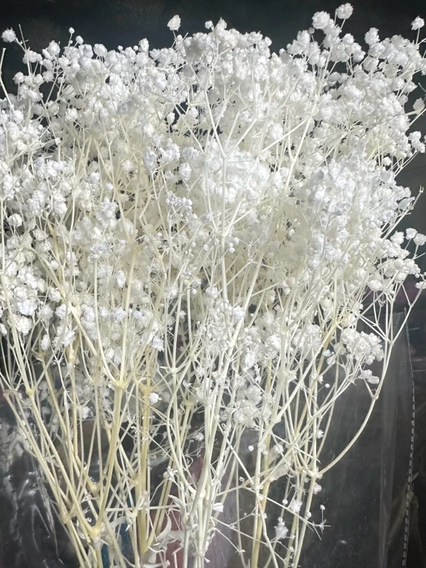 永生满天星质量保证100g车载干花花束