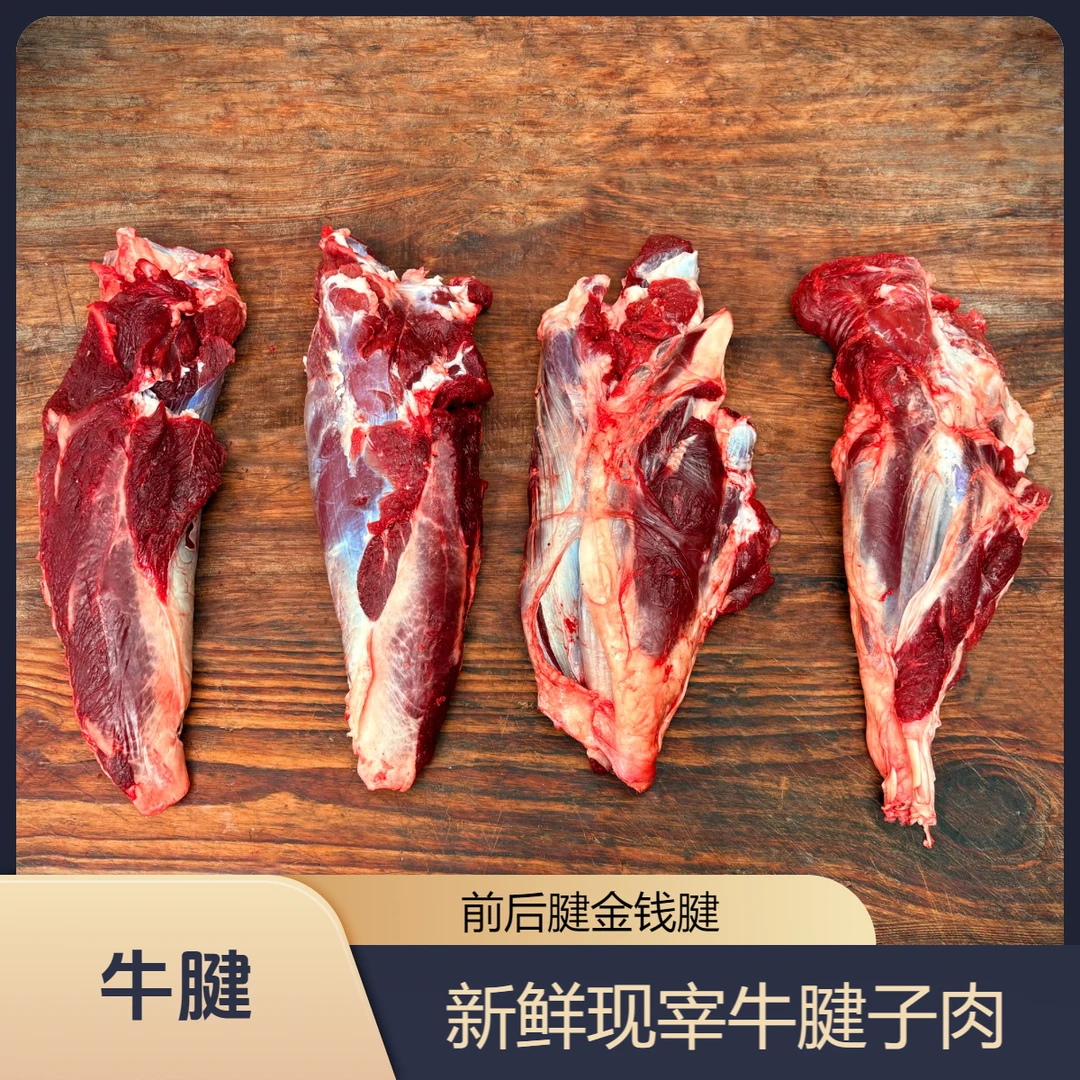 【牛腱子 金钱腱】牛前腱 牛后腱 金钱腱 龟腱 排腱 适合煮凉拌