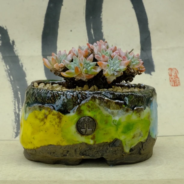 坛子姐坛子姐多肉花盆山石系列pp小号粗陶原创油画风手工花盆