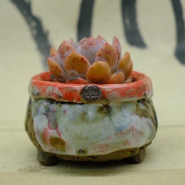坛子姐多肉花盆山石系列小包子粗陶原创油画风纯手工尺寸手工花盆