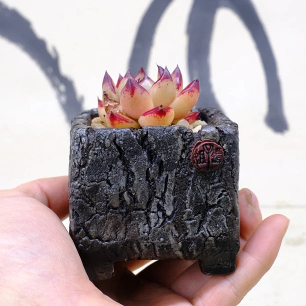 坛子姐岁月系列小方多肉花盆粗陶陶瓷纯手工内口径4.5左右