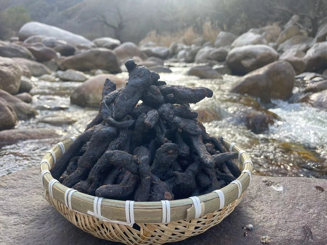 终南山小冉披星戴月鸡头果500克