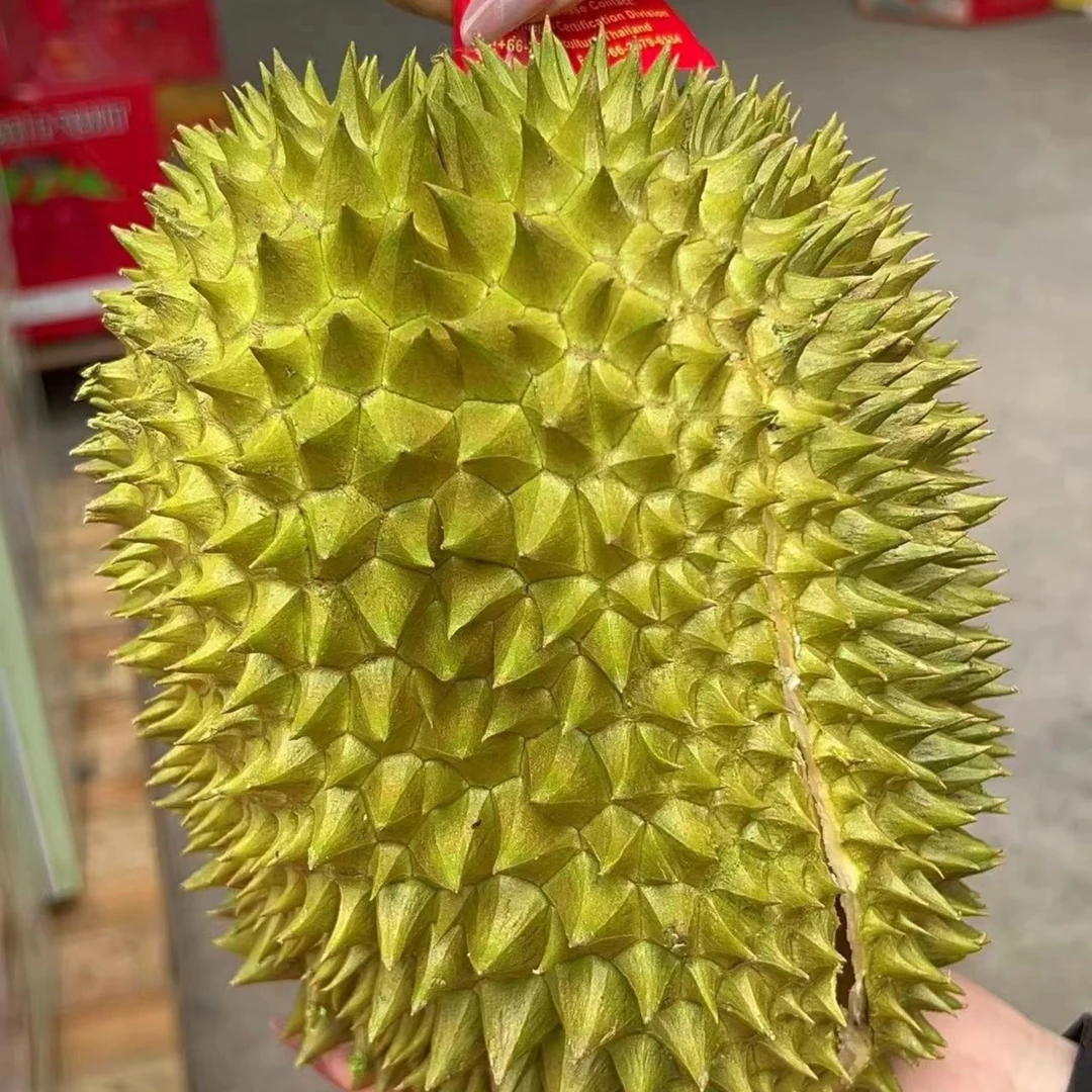 树熟金枕AA榴莲纯肉榴莲同城配