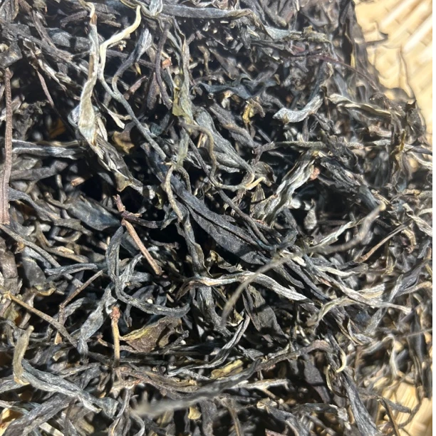 【老树春茶】24年 亥公老树春  普洱生茶 散茶 250克
