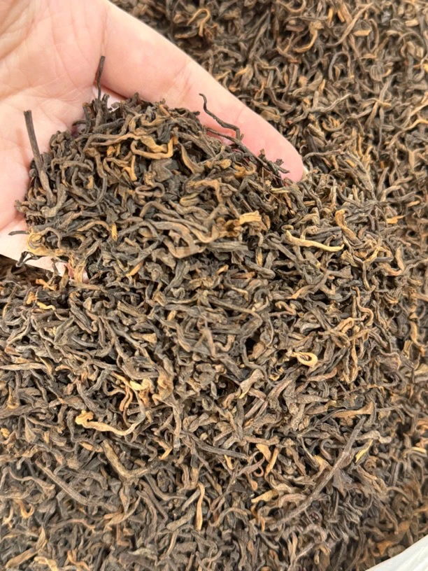 云南勐海2010特级普洱散熟茶