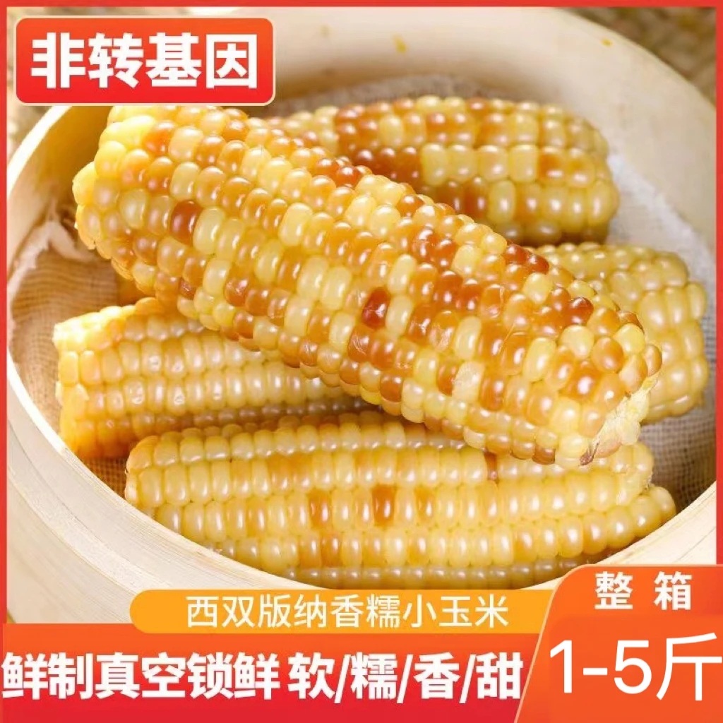 【抢购整箱】云南西双版纳香糯玉米新鲜真空花糯玉米棒加热即食玉米