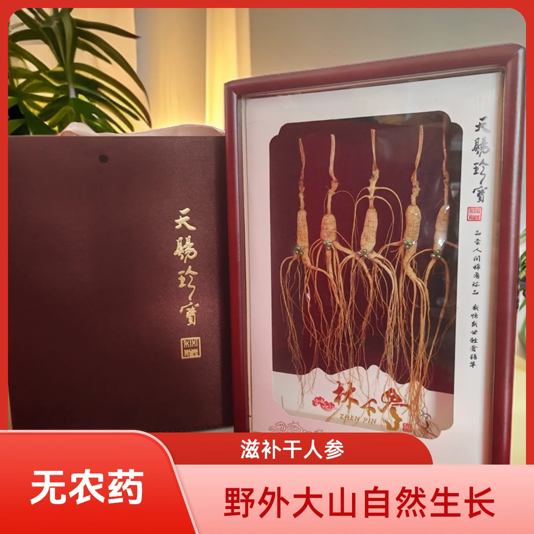 【野外大山自然生长】 长白山林下参 滋补干人参 泡水煲汤泡酒
