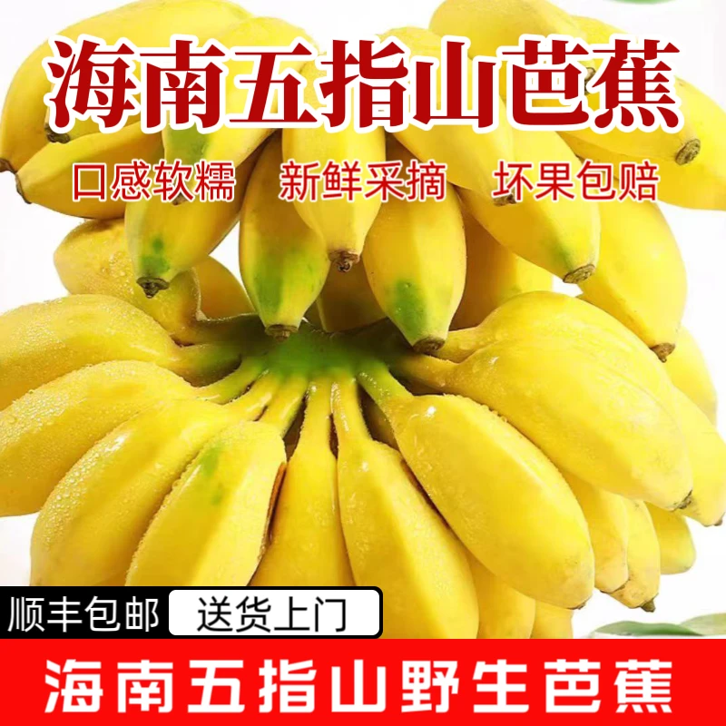 海南五指山野芭蕉纯甜口感软糯新鲜采摘海南应季水果顺丰包邮