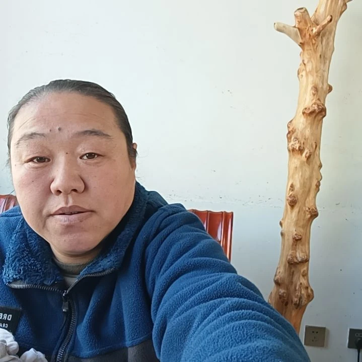 【闪购商品】颂*太行崖柏成品摆件