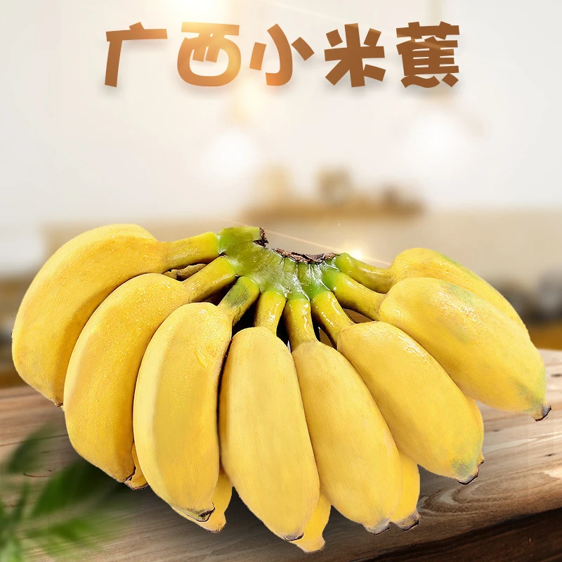 广西小米香蕉8分熟新鲜水果软糯水果自然生态天然饱满甜香成熟蕉
