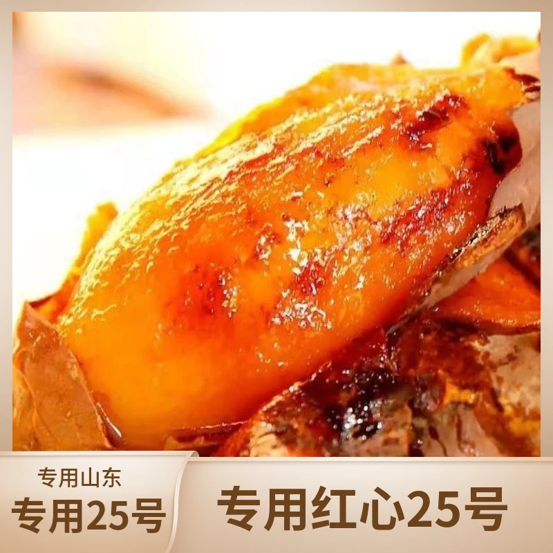 山东农科院烟薯25号软糯香甜美味辅食番薯沙地烤地瓜烤红薯5斤9斤