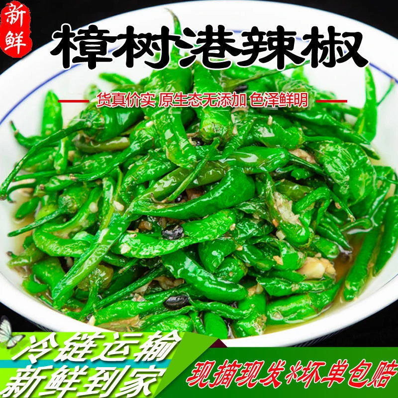 正宗湖南樟树港辣椒1-3斤富晒辣椒青椒薄皮嫩辣椒产地采摘包邮