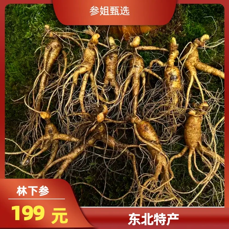东北特产林下参15年左右泡酒滋补十支食用煲汤甄选新鲜长白山
