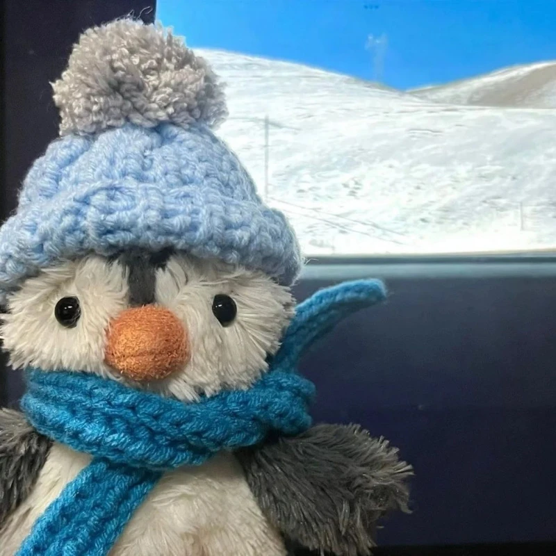 可爱子！新款小企鹅玩偶公仔可爱卡通陪伴毛绒玩具迷你送女孩礼物