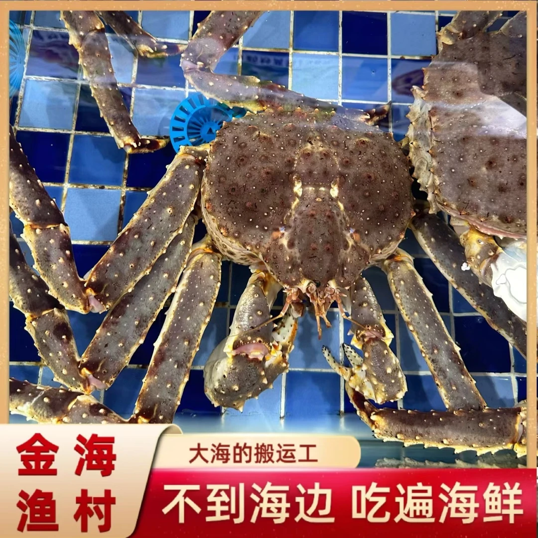 阿拉斯加帝王蟹 208一斤  一个5-6斤