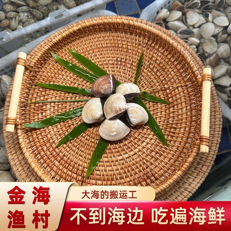 精选鲜活白贝