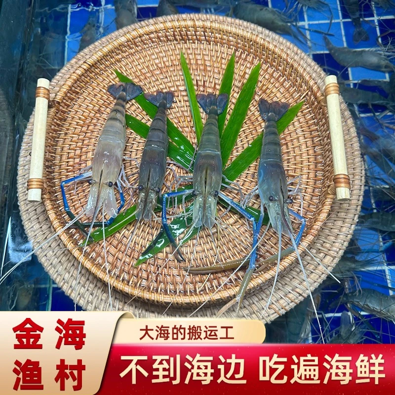 鲜活罗氏虾一斤
