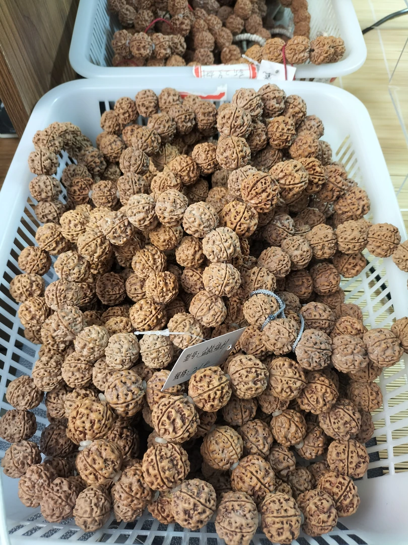 原生态尼泊尔大金刚精品