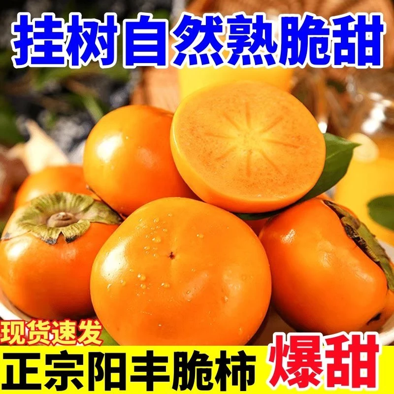 【冰糖心脆柿】正宗山西阳丰巧克力脆甜柿子 新鲜脆柿子带箱