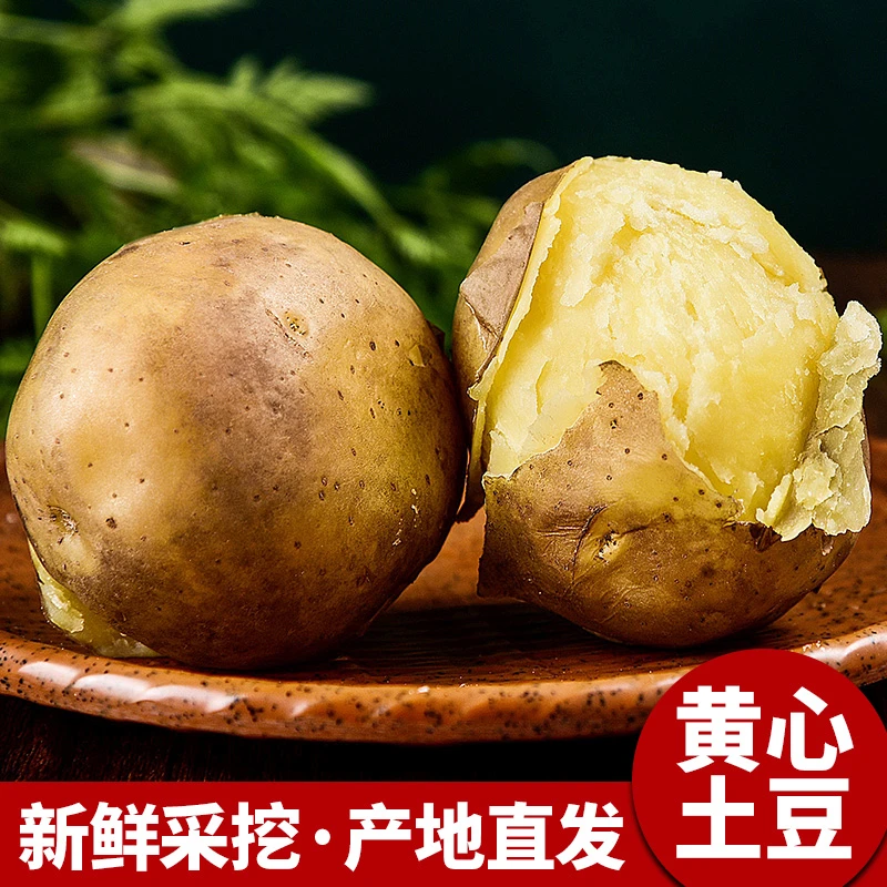 黄心土豆富硒大土豆新鲜黄心士豆湖北马铃薯批发蔬菜清香高山洋芋